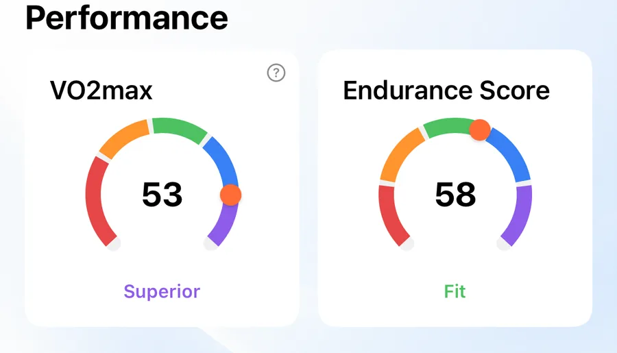 VO2max and Endurance Score gauges in 42Runs, showing 53 (Superior) and 58